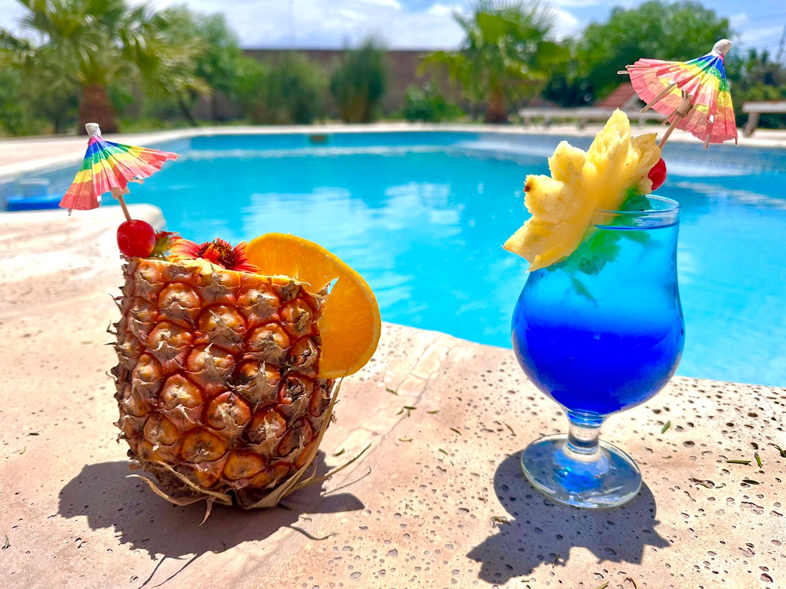 Frutas y tragos