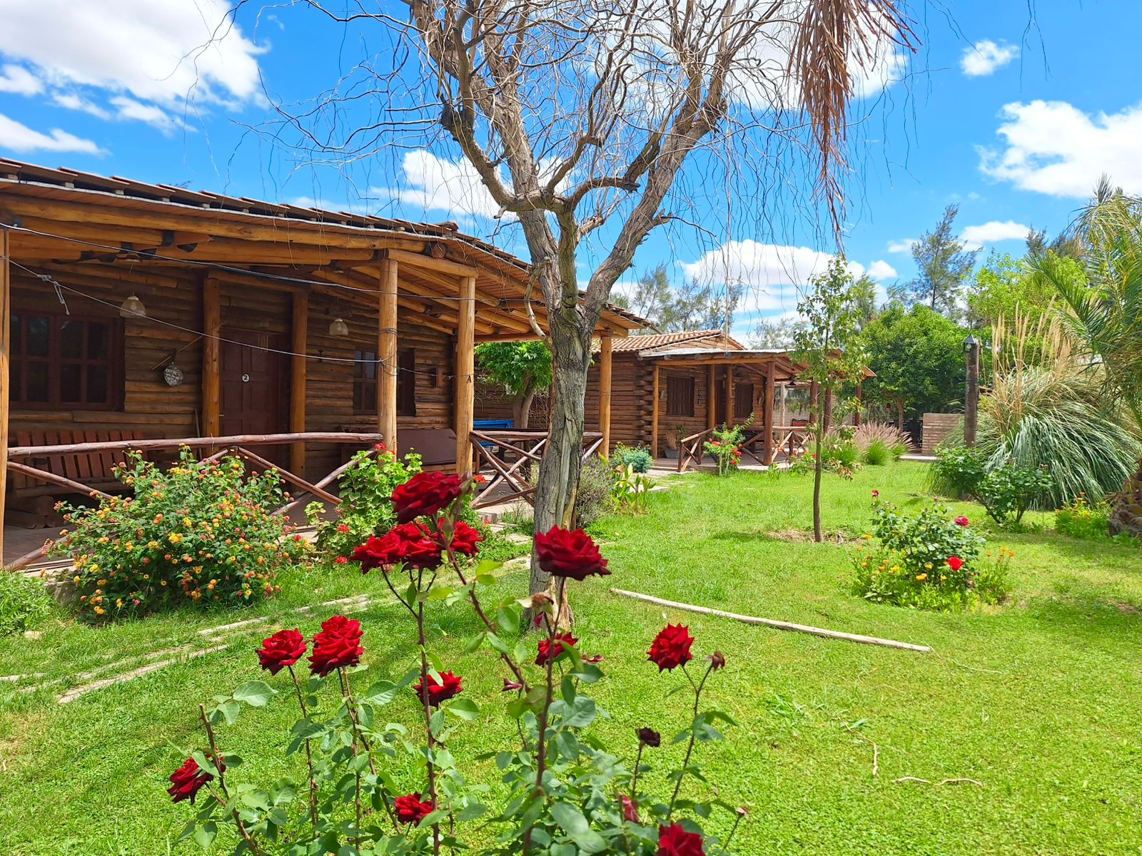 Jardín cabaña